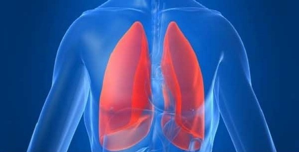 Pulmonology